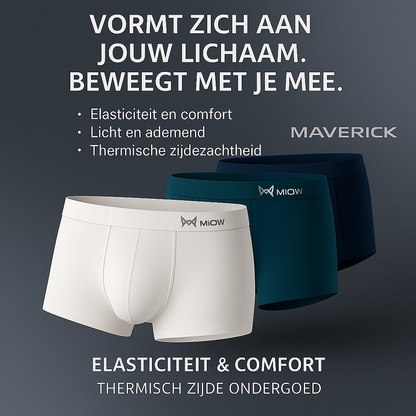 Ice Boxer Pro™ - Thermisch Zijde Ondergoed - [KOOP 5, KRIJG 10]